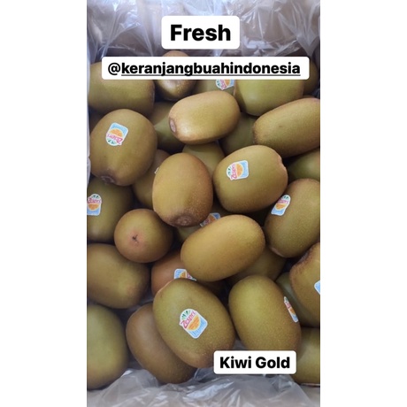 

Buah Segar Kiwi Gold Zespri , Fresh Fruit Kiwi Gold Zespri