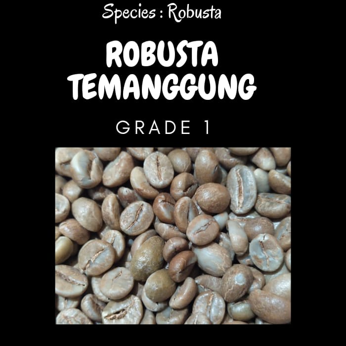 

TERMURAH I Green bean Robusta Temanggung G1 - Fine Robusta 1kg