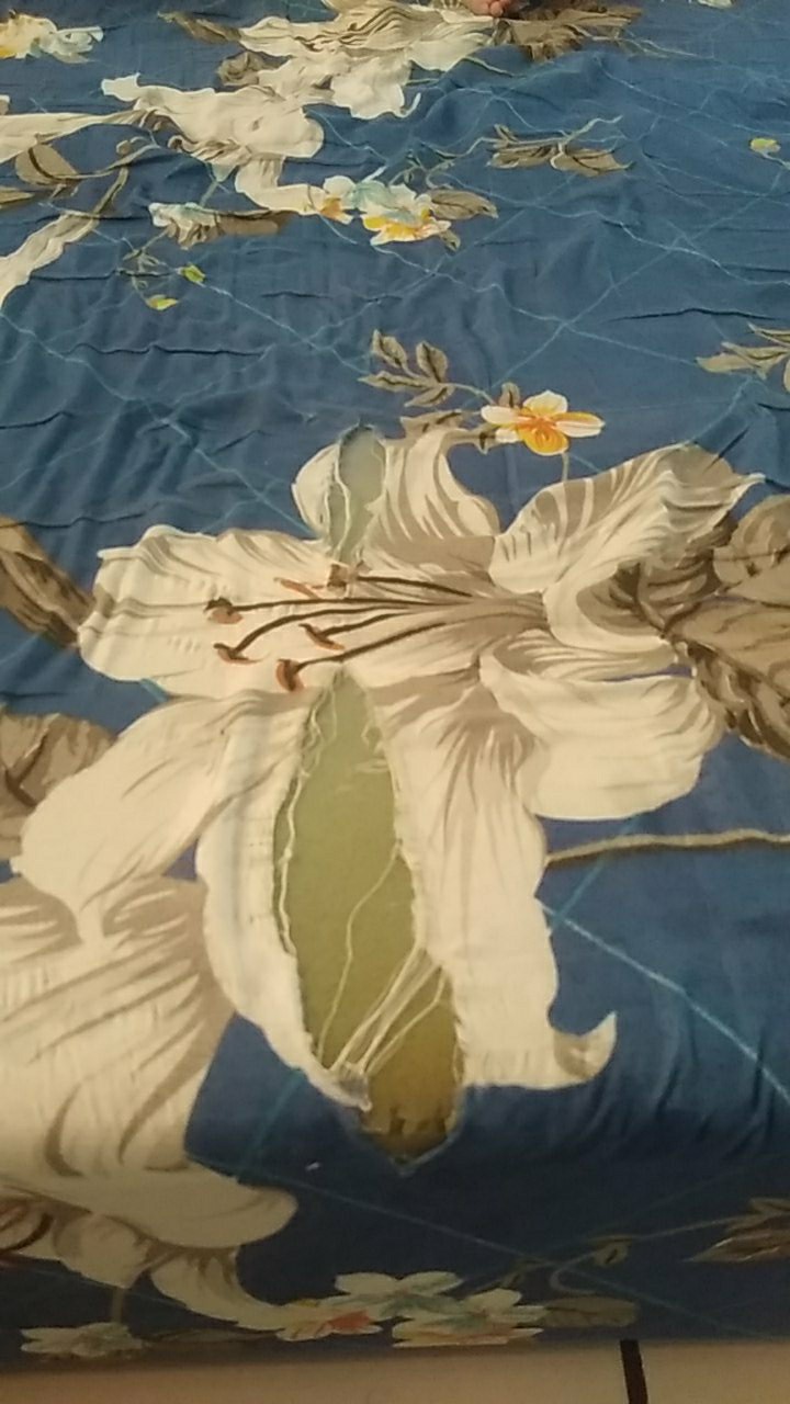 180x200x25 Sarung Kasur Busa Resleting