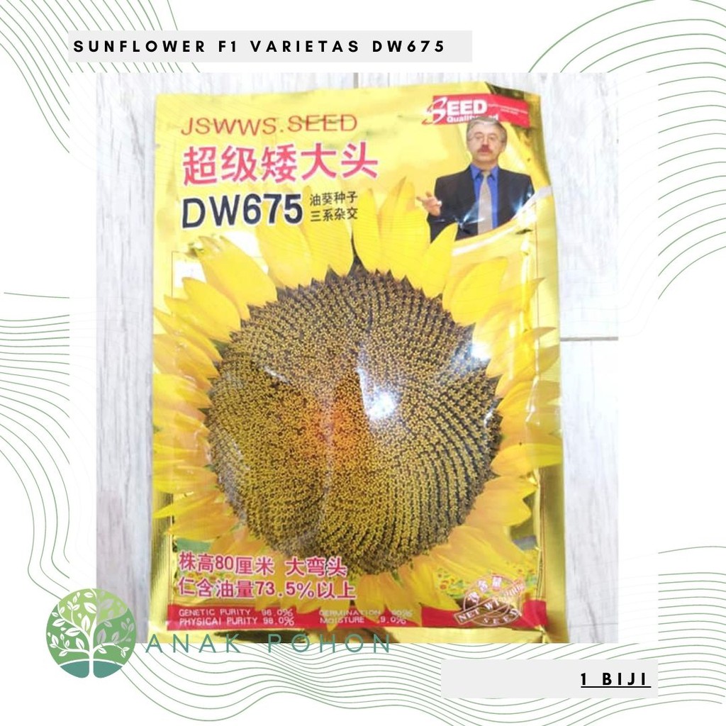 Benih Bibit Biji - Sunflower Black Oil F1 Varietas DW675 Kuaci Bunga Matahari Seeds