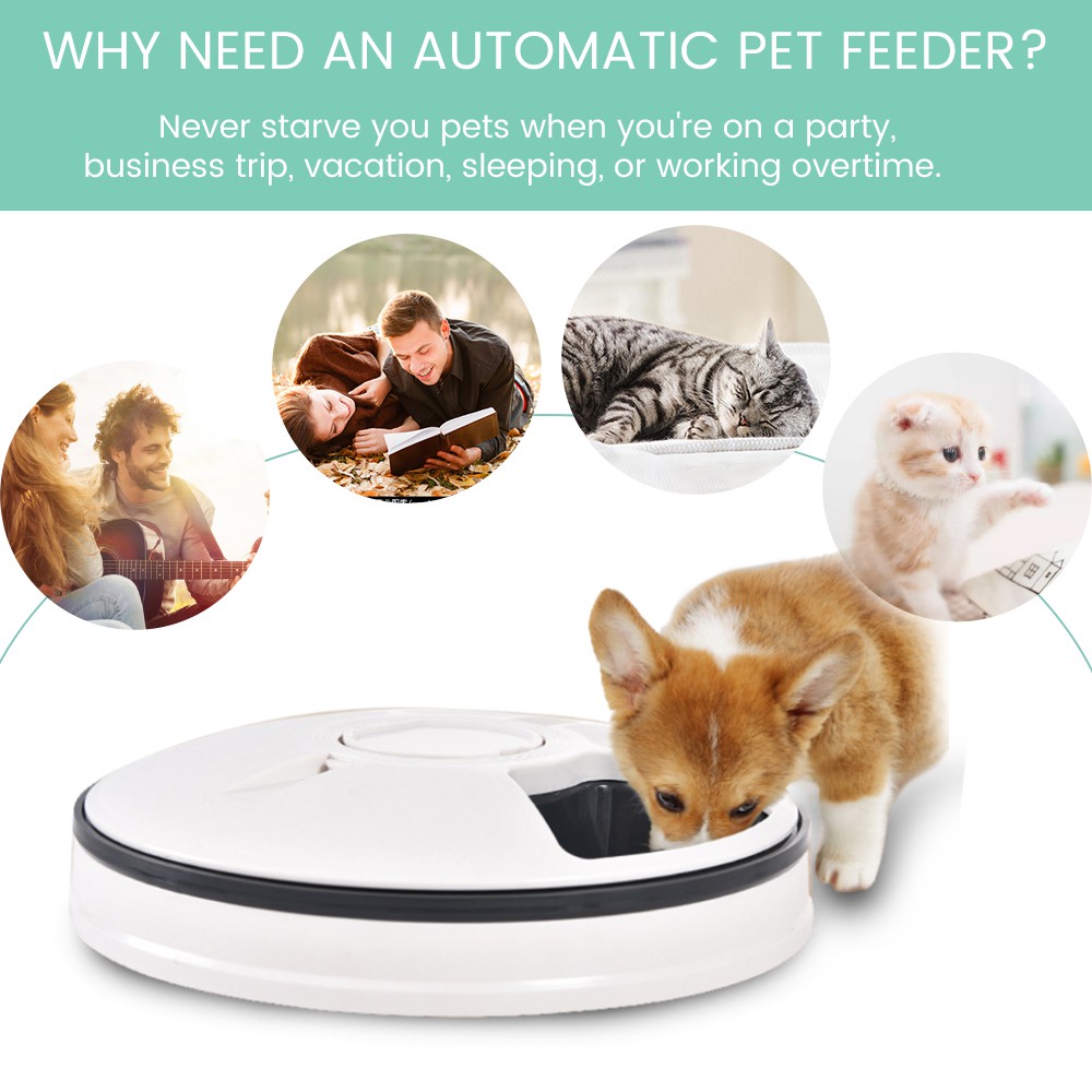 vacation pet feeder