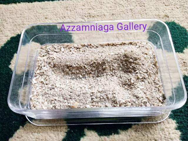 Top grit 1 kg ( Asinan  burung Perkutut, Tekukur, Puter  pelung Merpati dLL)