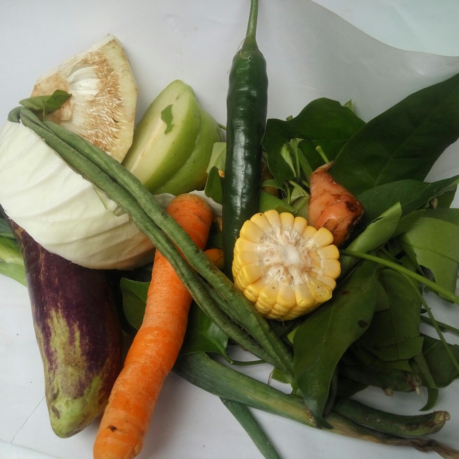 

Paket sayur lodeh