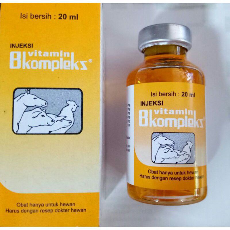 Vitamin B komplek injeksi 20 ml