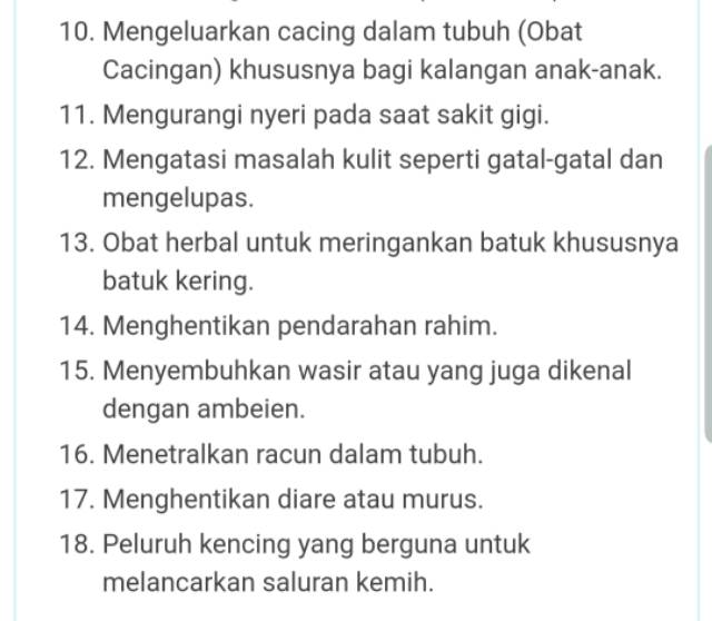 Bunga Semangkuk Herbal Panas Dalam Kembang Semangkuk Tempayang Shopee Indonesia