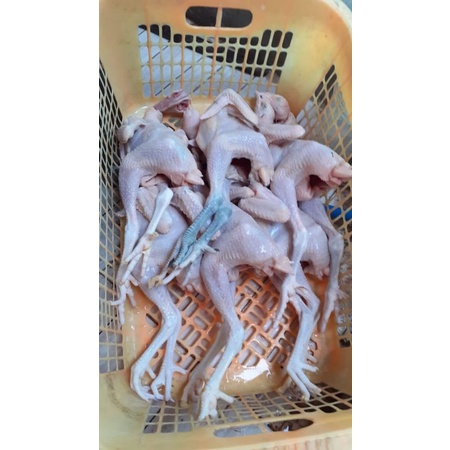 

Ayam Kampung segar