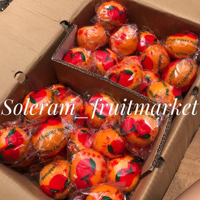 

Buah Jeruk Ponkam Kardus Ukuran S M L Manis Ekonomis Imlek