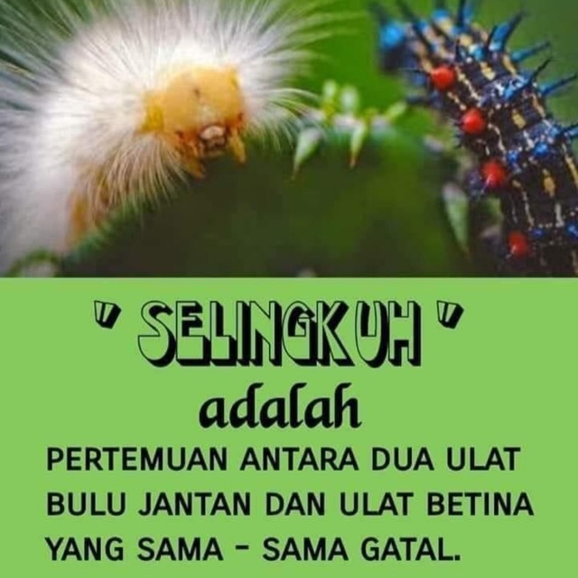 kartikafiniwiandarisusilo