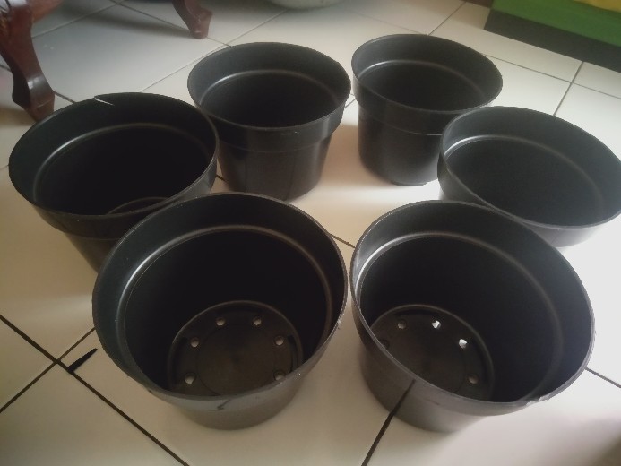 Pot Bunga Plastik 10 Cm Pot Es Krim Plastik Baru Pot Hidroponik