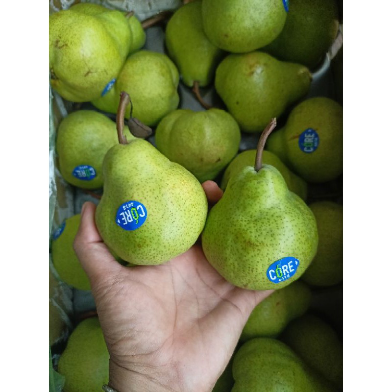 

pear hijau pear pakam