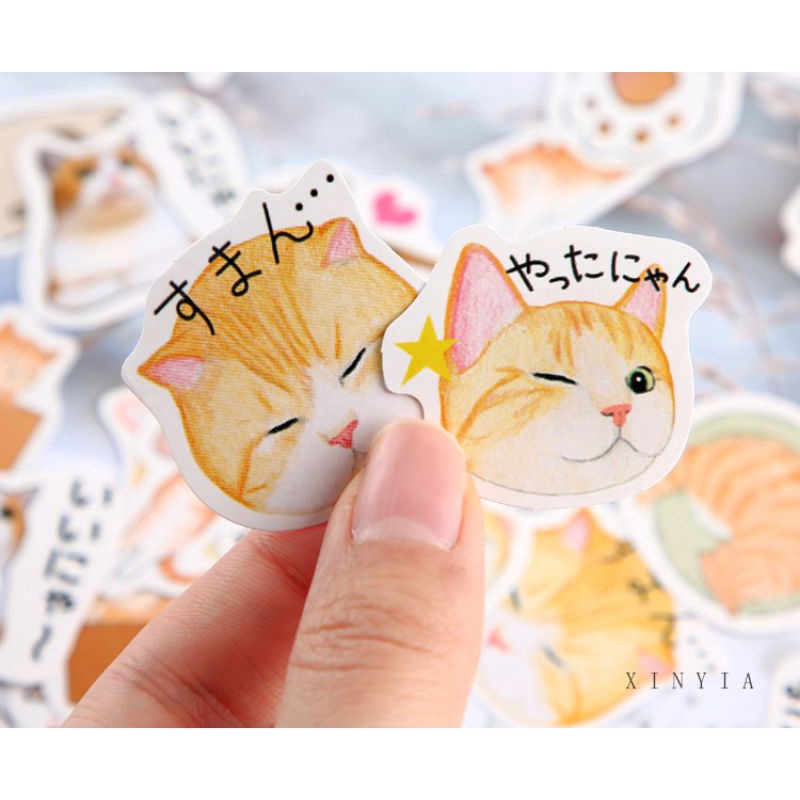 

[1 pcs] Sticker Lost A Cat Kucing Aesthetic vintage | Stiker untuk Tumblr / Dekorasi / Deco / Scrapbook / Jurnal / Diary / Bujo / DIY / HP / Laptop