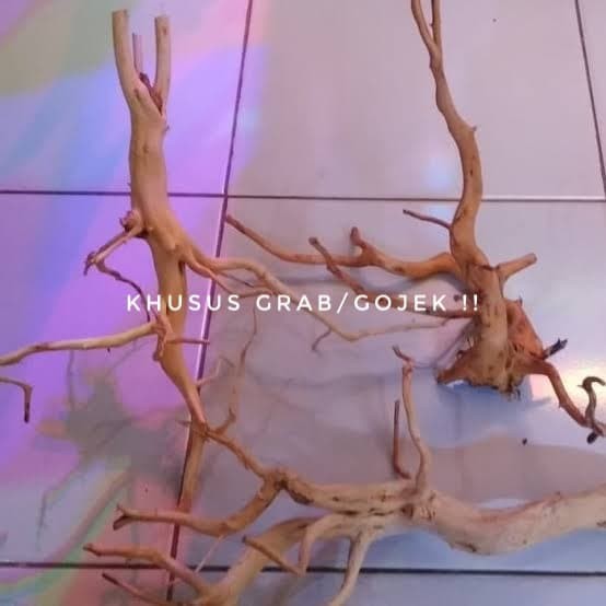 Kayu Aquascape Kisireum Size S