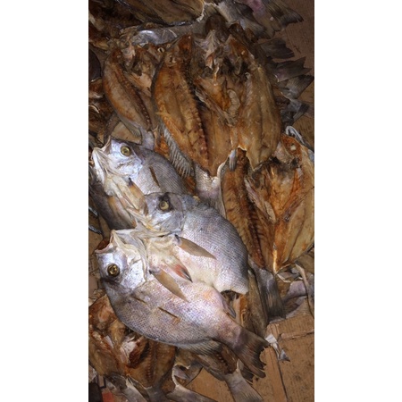

bambangan / kakap merah 1kg