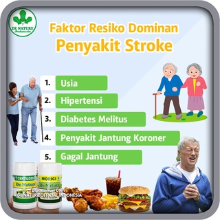 Centilos Morici Centiloss De Nature Obat Stroke Herbal Strok Struk