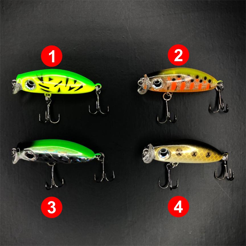 Minnow Kosuke 35 The Angler Series