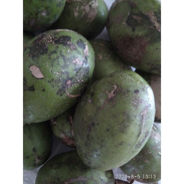 

Kedondong Buah