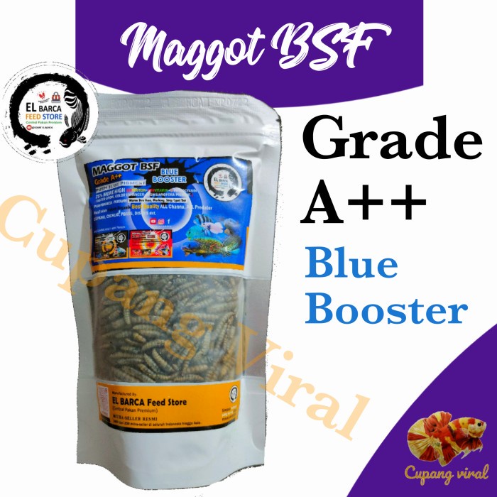 El Barca - Maggot BSF Grade A++ Blue Booster