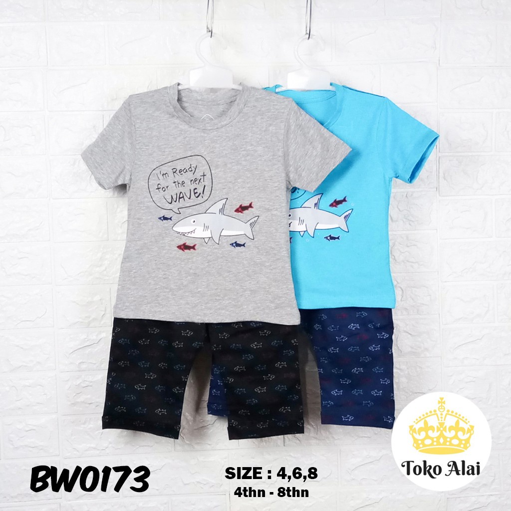 AL - Setelan anak  laki laki HAPPY TIME warna abu  tosca BW0173