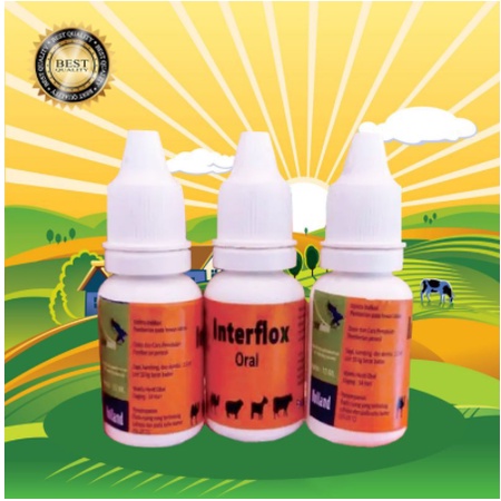 Interflox Oral 10 ml Obat Mencret Kembung Diare Kucing Anjing Kelinci