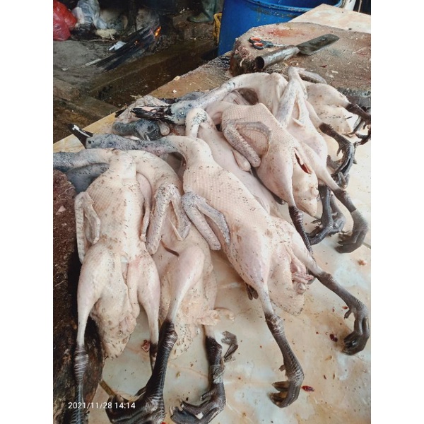 

bebek potong dan ampela 1kg