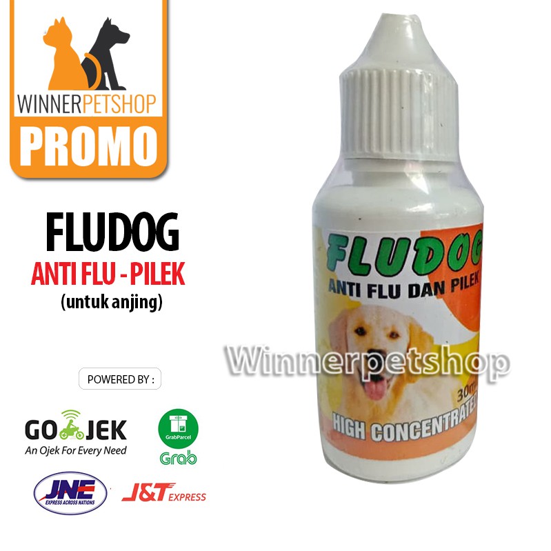 Fludog Obat flu anjing