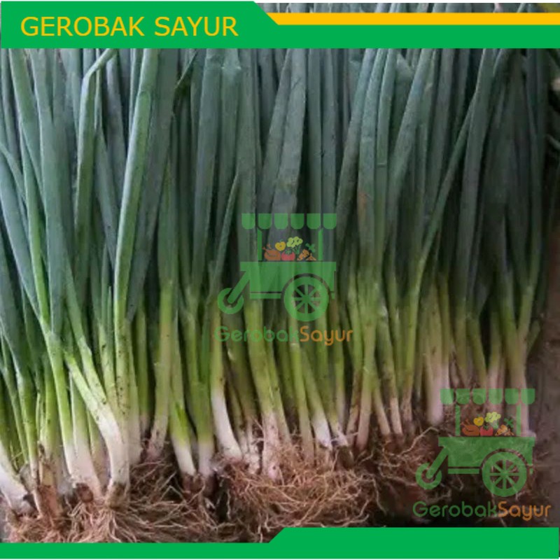 

Daun Bawang 250 g