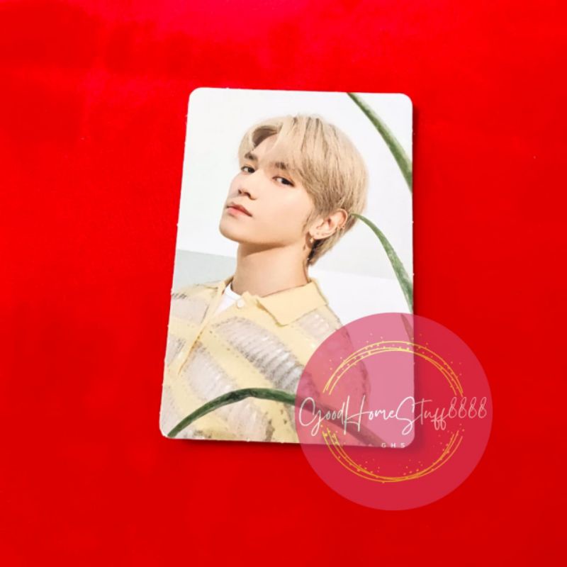 NCT 127 X Nature Republic Photocard TaeYong PC Official