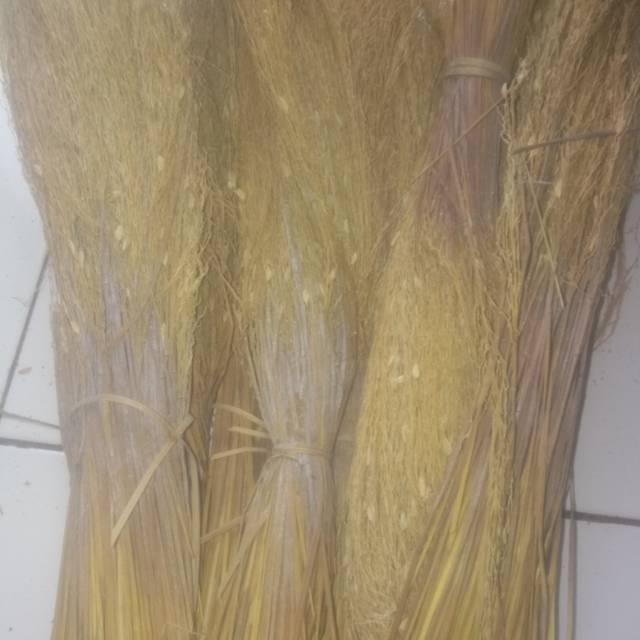 Sapu merang padi ketan hitam