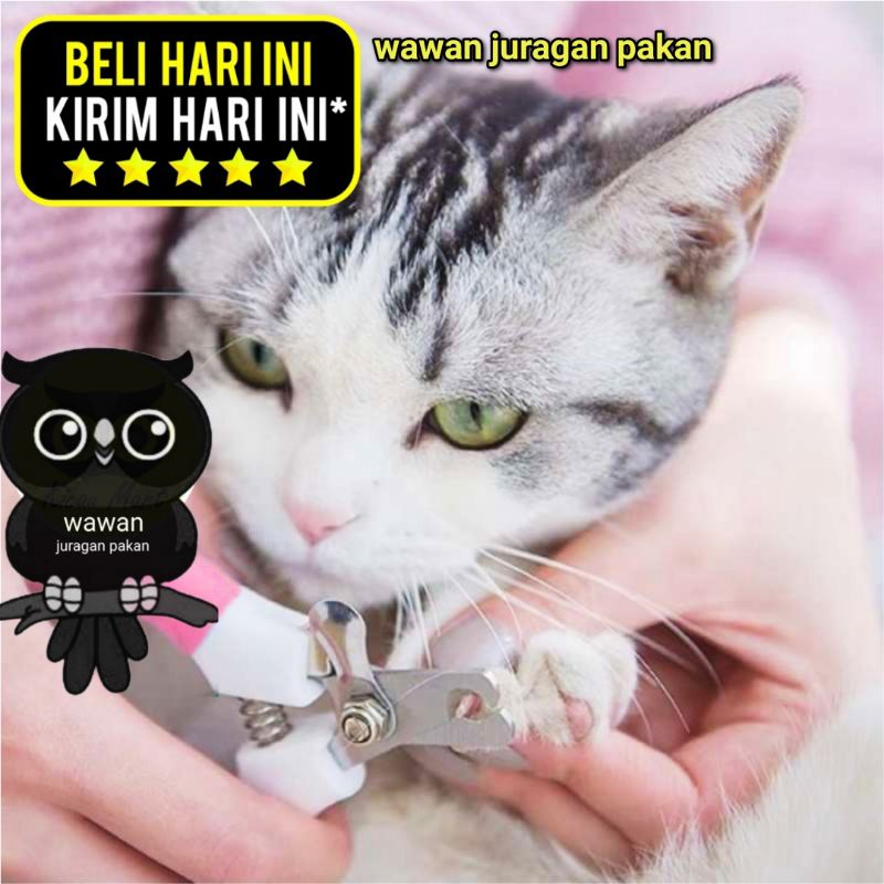 ALAT POTONG KUKU KUCING 1 set gunting dan kikir