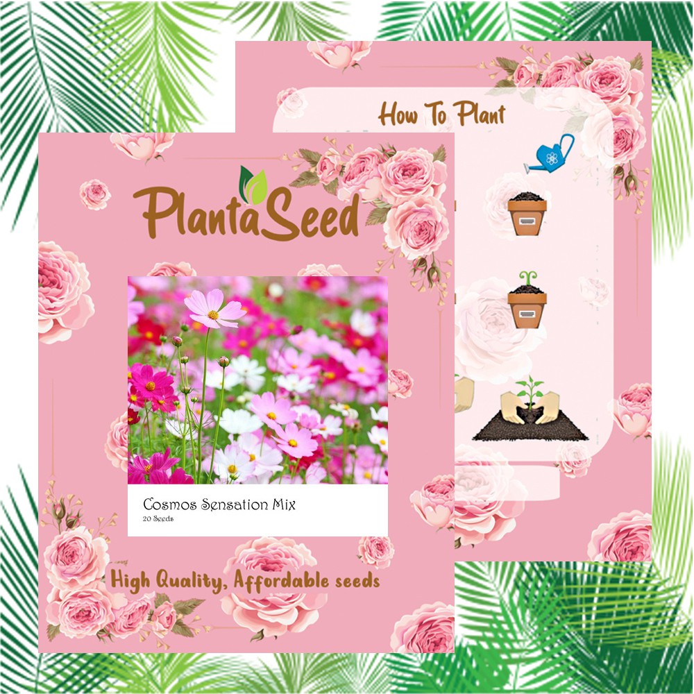 PlantaSeed - 20 Seeds - Cosmos Sensation Mix Biji Bunga - PAS0218