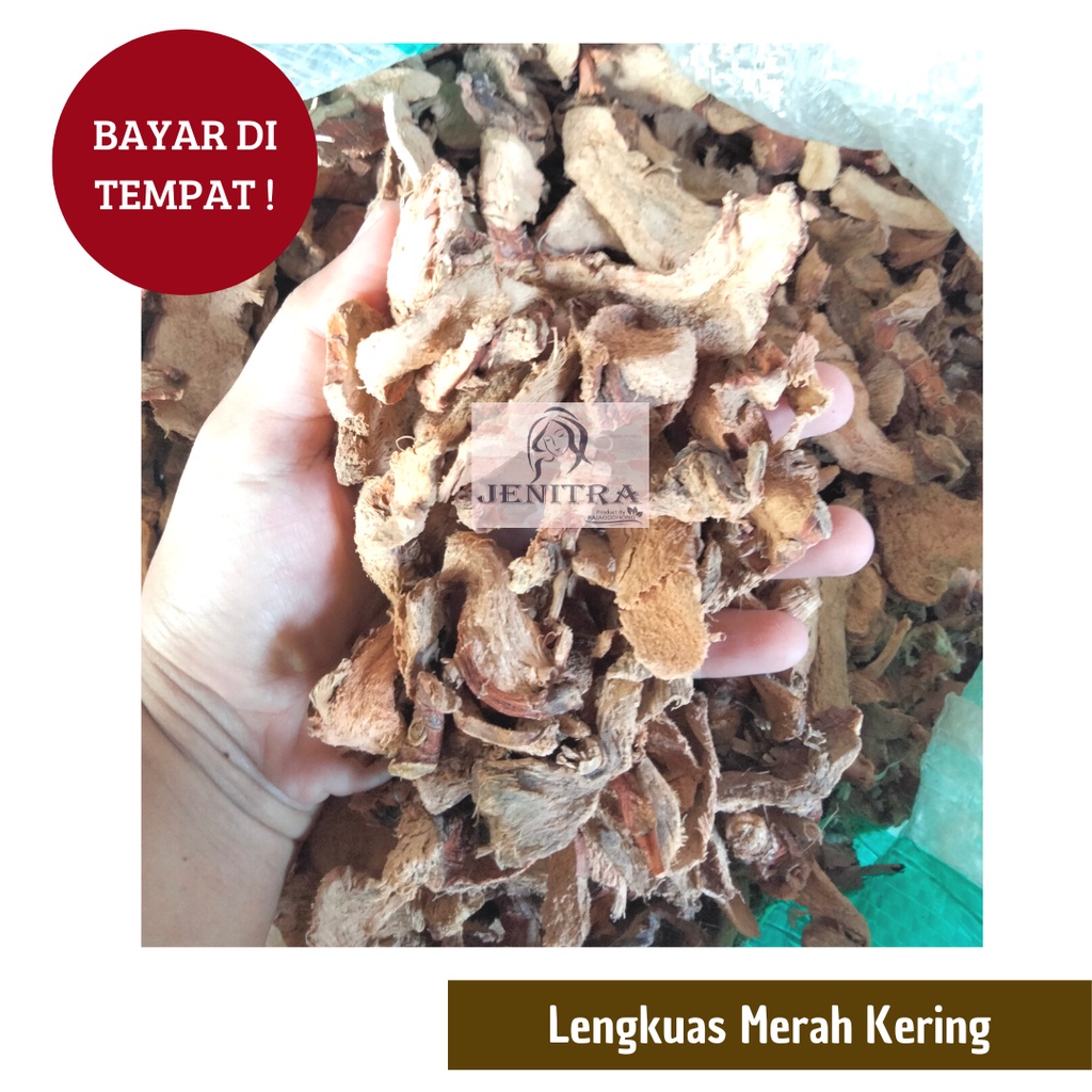Lengkuas Merah / Laos Merah kering 500 gram - Bisa COD Bayar di Tempat
