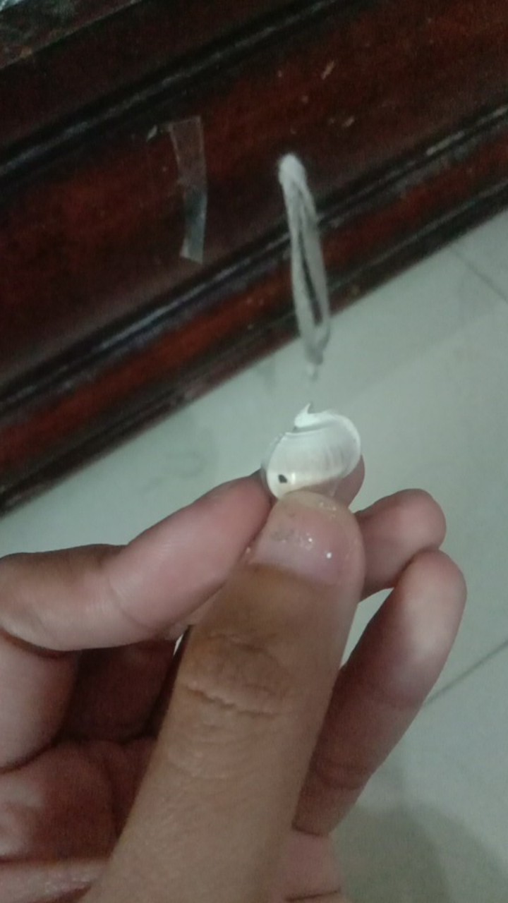 -+50-75pcs Kulit Kerang Ice Putih Isi 15gram - Kulit Kerang Craft