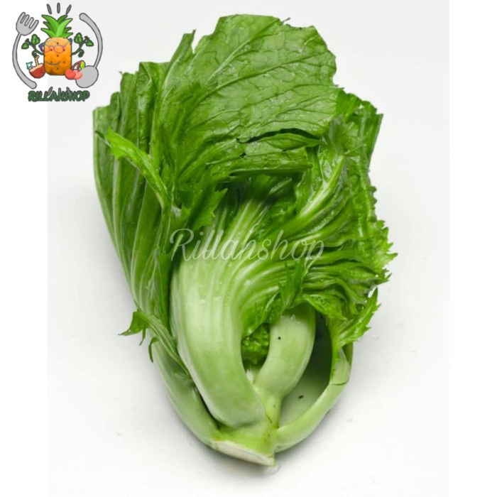 

Sawi Pahit/Sayur Sawi Pahit Kg