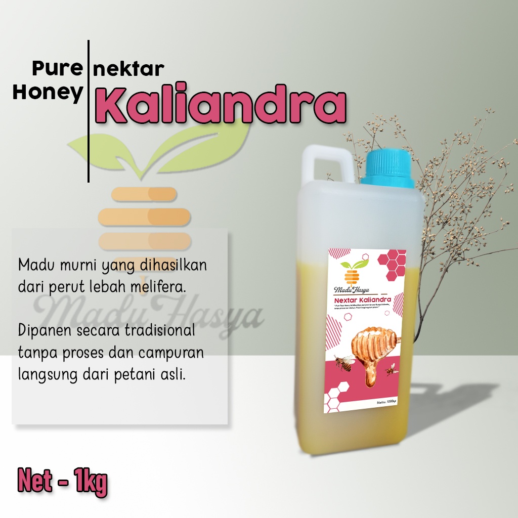 

Madu Murni Asli 1kg HASYA Nektar Kaliandra Alami Pure Natural Raw Honey