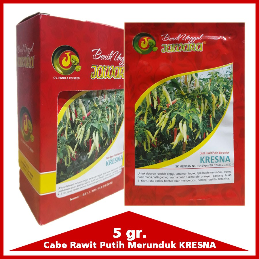 [ISI ± 1200 BIJI]BENIH UNGGUL CABE/CABAI RAWIT PUTIH MERUNDUK VARIETAS KRESNA - BIBIT CABE