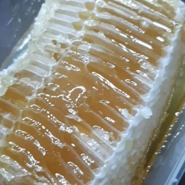 

Madu Hutan Asli Ambhai AL-Wina