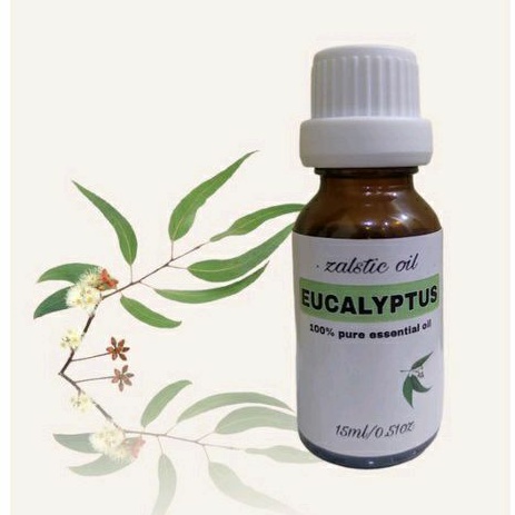 Zalstic Eucalyptus Oil (100% Minyak Atsiri)