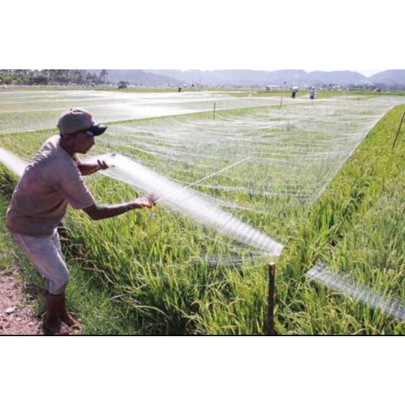 JARING BURUNG EMPRIT PETANI
