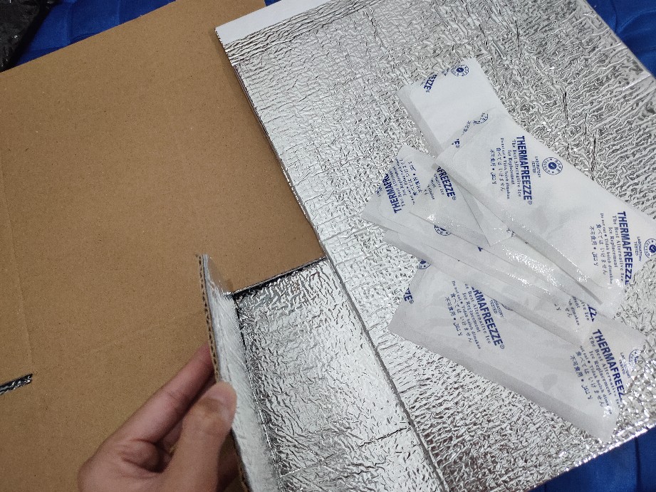 Originalidn Thermal Insulated Box Dus Packaging Tahan Dingin Keluar Kota Coldpak