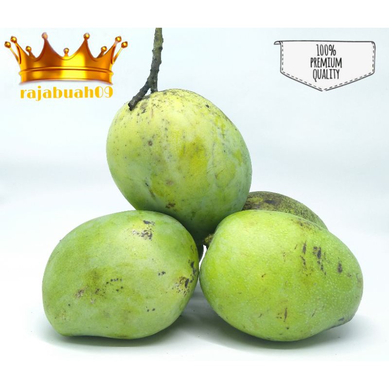 

Buah Mangga Indramayu / Mangga Fresh Manis 1Kg