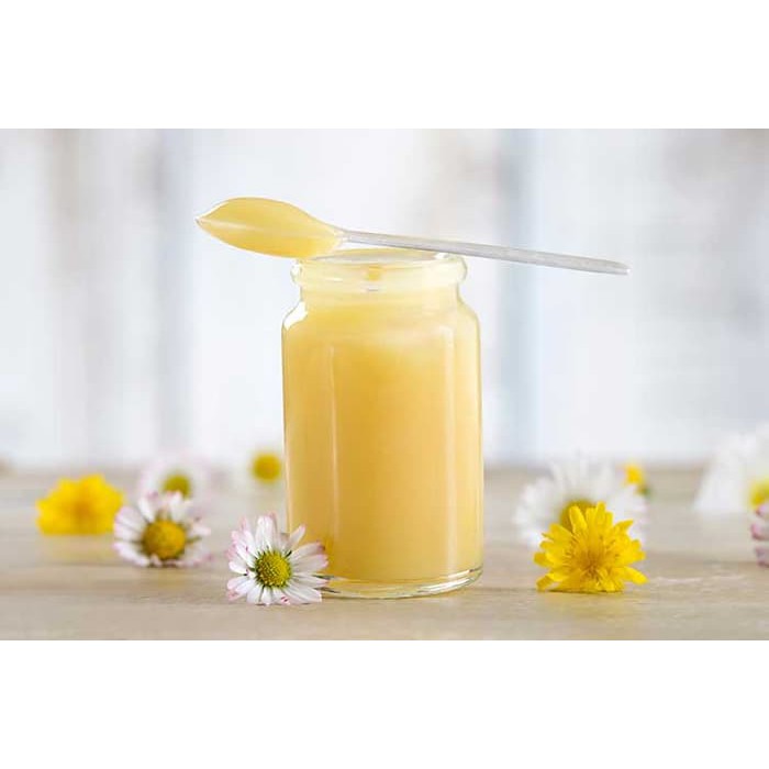 

Madu Alami Asli ROYAL JELLY MURNI (susu Ratu Lebah) 500gr HARGA GROSIR