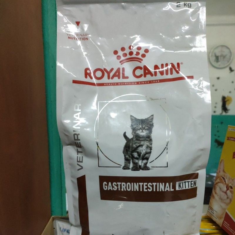 rc gastrointestinal kitten 2kg