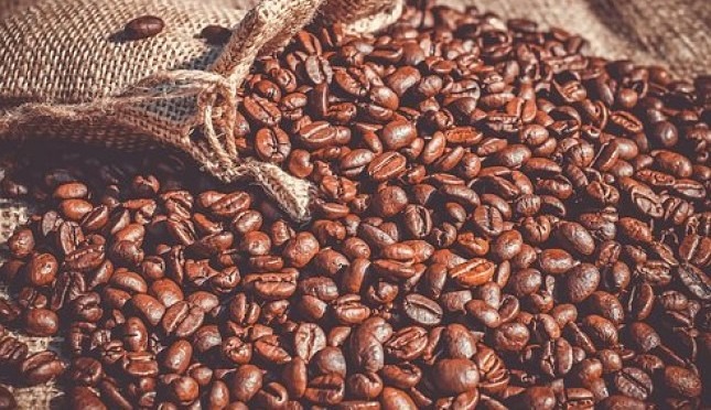 

Biji Kopi 1 Kg