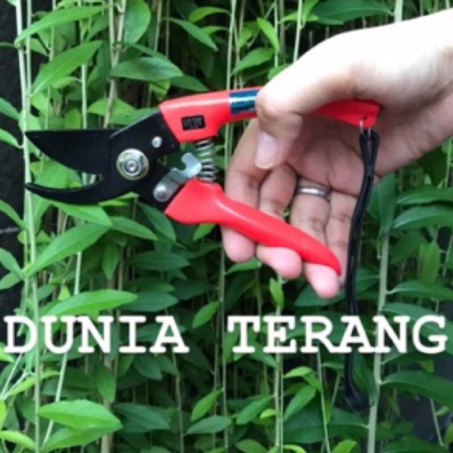 Gunting Dahan STARTIGER 77 - Gunting Kebun Ranting Bunga Bengkok - Garden Shears STAR TIGER