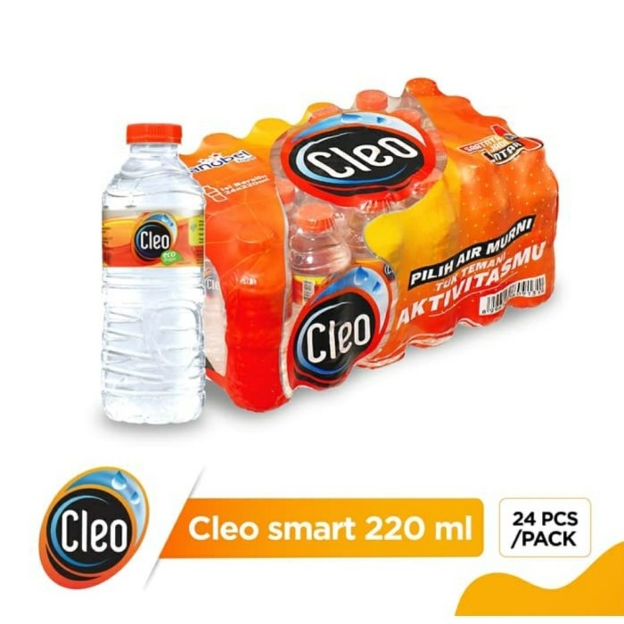 Jual Cleo Mini Air Minum Mineral Water 220ml 220 Ml X 24 Botol Shopee Indonesia 3316