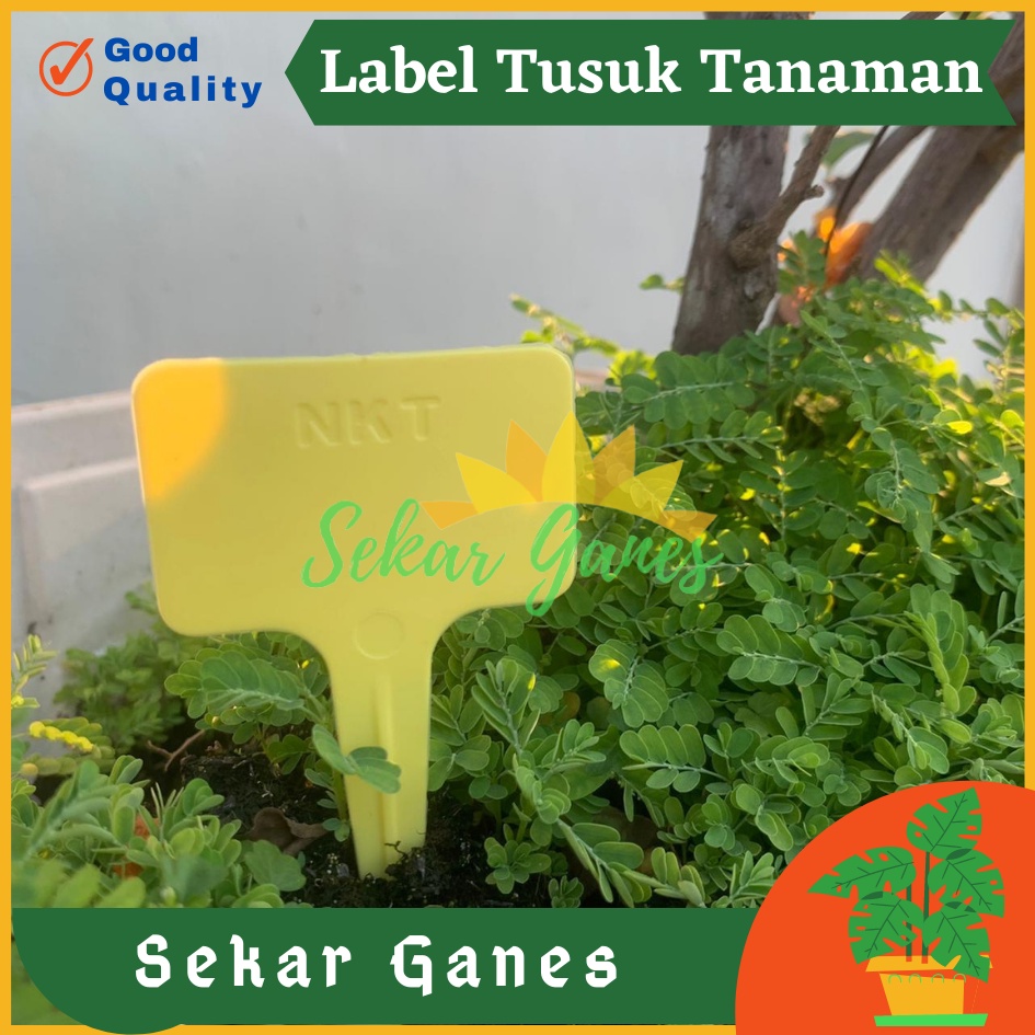 Label Tanaman Tusuk Tancap ISI 50PCS NKT Name Tag Label Tanaman Waterproof Anti Air Tancap Gantung Besar Anggrek Toga Obat 100pcs Tanaman Nkt Warna Warni Tebal Penanda Label - PENANDA LABEL NAME TAG TANAMAN HIAS PLANT LABEL TERMURAH BAHAN BAGUS