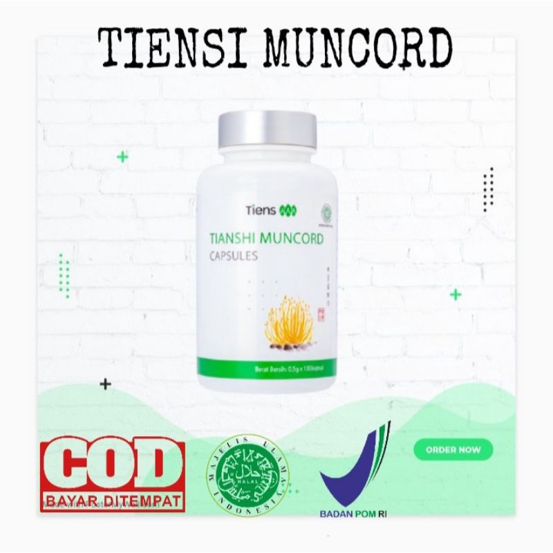 Tiens Muncord Cordyceps Capsule | Imunitas Tubuh Tianshi