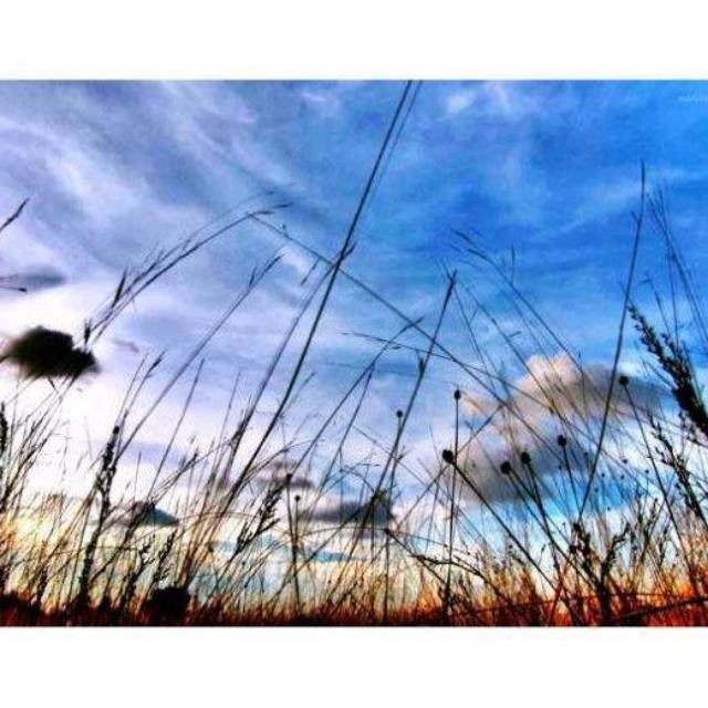 serafinaverinasucinarasti