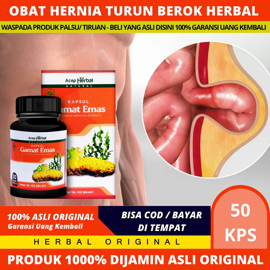 Obat Hernia Turun Berok,Obat Hernia Turun Berok Anak Dan Dewasa Kapsul Gamat Emas Acep Herbal ASLI