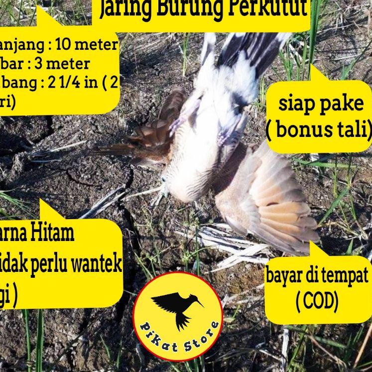 Harga Murah.. JARING BURUNG PERKUTUT JARING KUTUT JARING PERKUTUT JARING KUTOT JEBAKAN BURUNG PERKUT